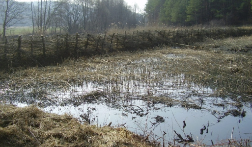 2.RP - Projekt revitalizácie krajiny Vybudovanie vodozádržných opatrení pre obec Baškovce 