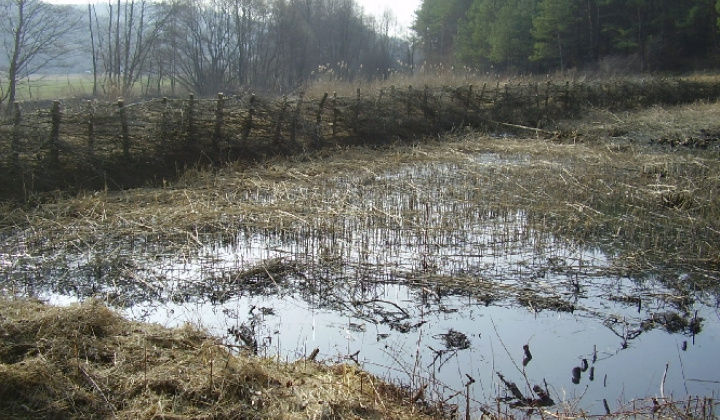 2.RP - Projekt revitalizácie krajiny Vybudovanie vodozádržných opatrení pre obec Baškovce