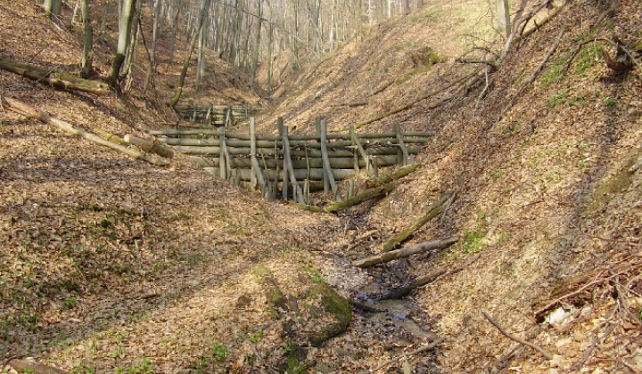 2.RP - Projekt revitalizácie krajiny Vybudovanie vodozádržných opatrení pre obec Baškovce